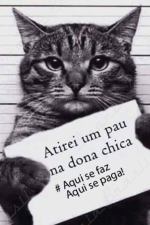 MEGA ATIREI