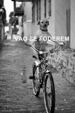 MEGA VÃO SE