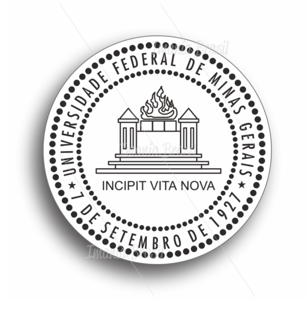 Universidade Federal de Minas Gerais