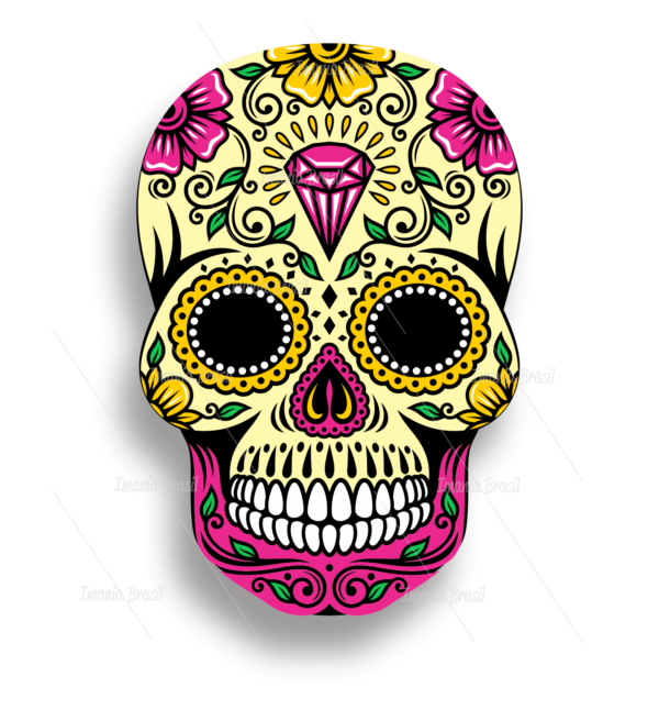 CAVEIRA 02