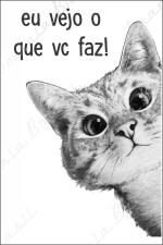 Vejo