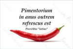 PIMENTA