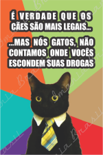 Dorgas