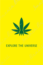 EXPLORE