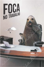 FOCA
