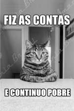 FIZ AS CONTAS