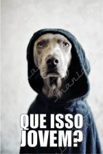 JOVEM