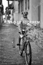 FODEREM