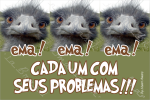 EMA EMA EMA