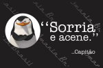 SORRIA E ACENE