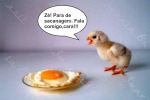 ZE FALA COMIGO