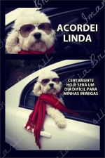 ACORDEI LINDA