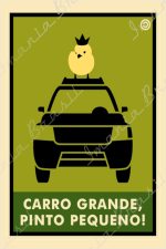 CARRO GRANDE