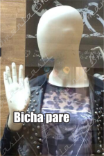BICHA PARE