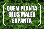 Quem Planta