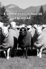 Um Privilégio