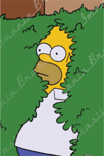 Homer Simpson