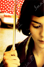 O Fabuloso Destino de Amélie Poulain