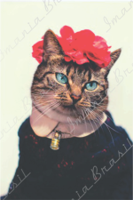 Gato de Vovó